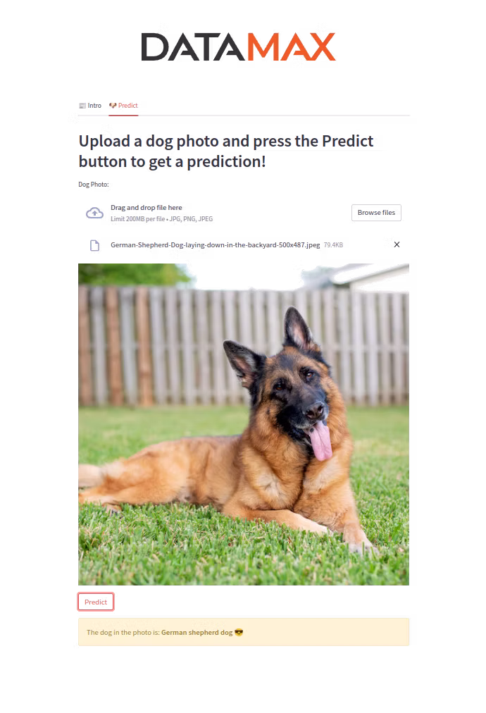 Kubernetes architecture with TensorFlow Serving as model server.